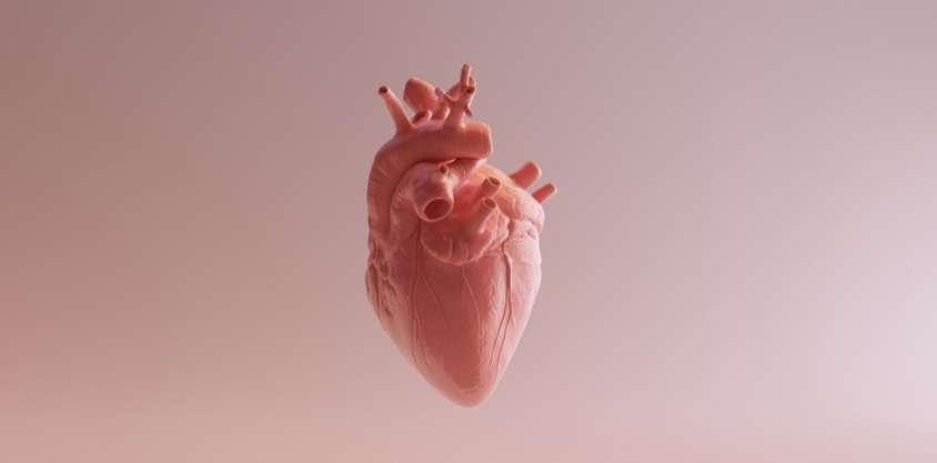 Kalp atış hızınız ömrünüz hakkında ne söylüyor